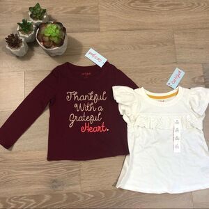 Set of 2 Cat & Jack Toddler Girls Tee Shirts 3T Thanksgiving Thankful Top